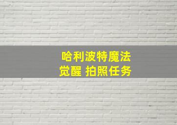 哈利波特魔法觉醒 拍照任务